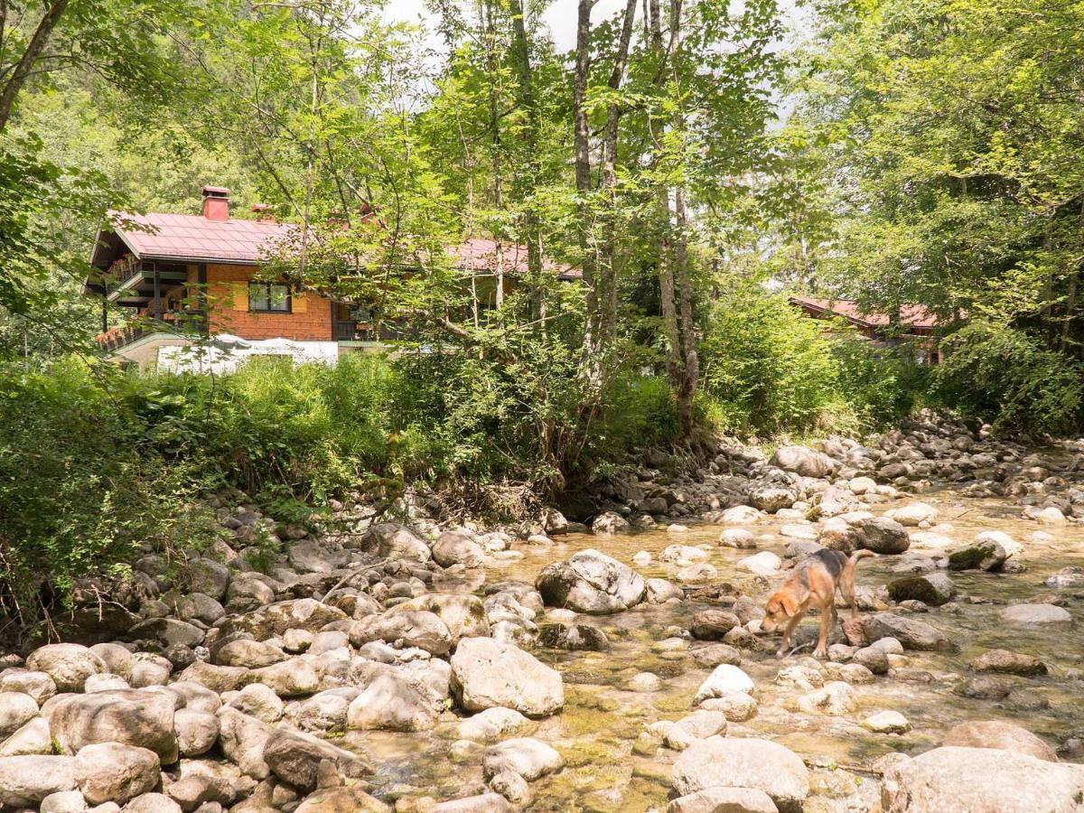 Готель Haus Wildbach Райт-ім-Вінкль Екстер'єр фото